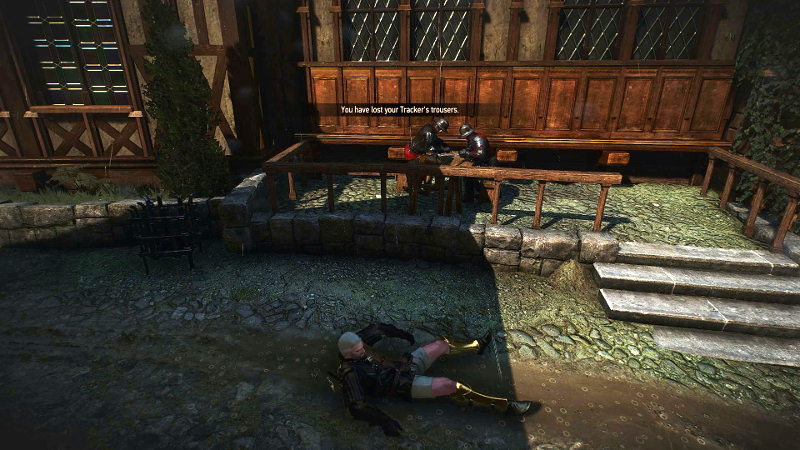 Illustration for article titled Witcher 3 Mods Have Gotten Weird
